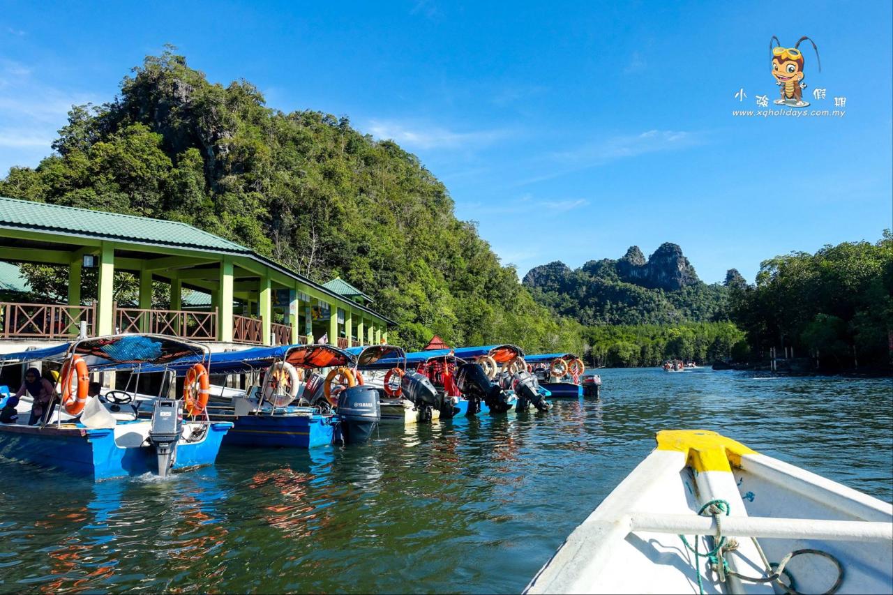 Jelajahi Hutan Bakau Langkawi: Surga Ekologi dan Petualangan